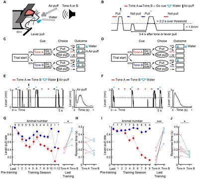 Medial prefrontal cortex suppresses reward-seeking behavior with risk of punishment by reducing sensitivity to reward